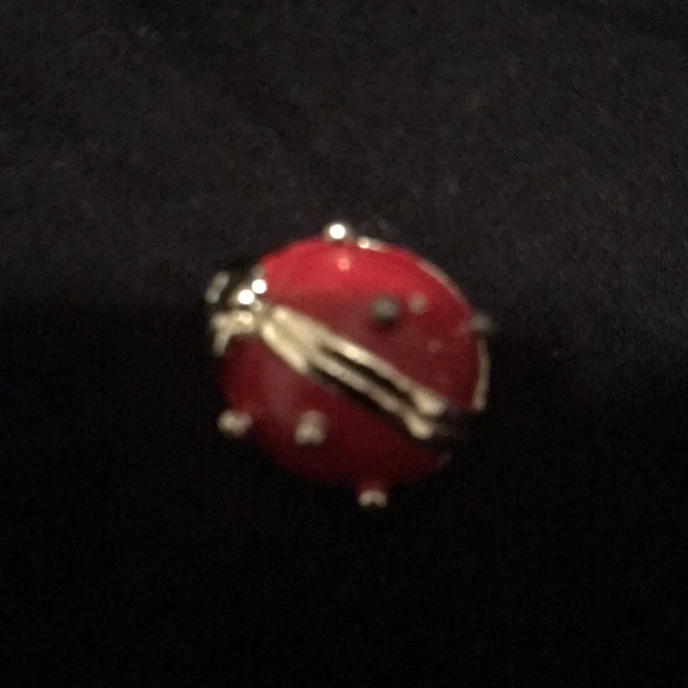Ladybug Pin - Picture 2 of 4